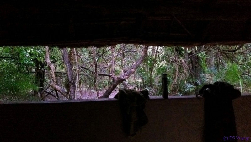 view from the shower, Kasanka National Park, Pontoon 3 camp
