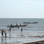 fisher at Sanyang beach, The Gambia