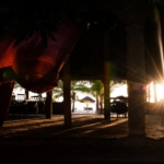 Gambia Jungle Camp, Sanyang beach, The Gambia