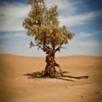 near M'hamid el-Ghislane, Morocco