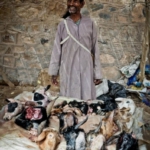 Zagora market, Morocco