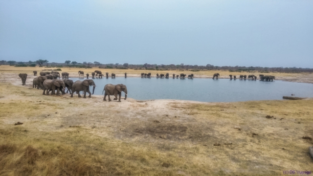 Hwange National Park, Zimbabwe