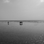 Sanyang beach, The Gambia