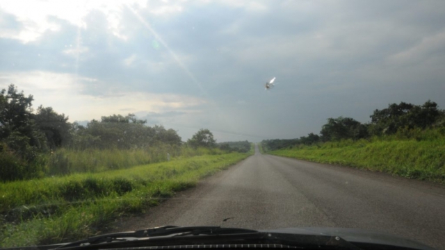 towards Murchison Falls Park DSC_0001