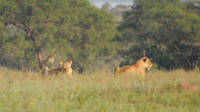 Murchison Falls Park DSC_0188-2