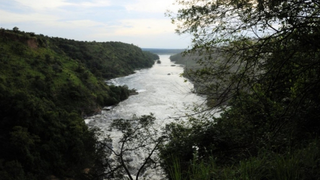 the Nile seen from Murchison Falls DSC_0289-2