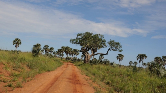 Murchison Falls Park DSC_0353