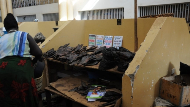 Gulu market - dried fish Gulu