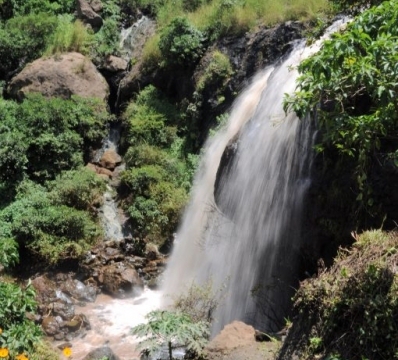 towards Mount Elgon National Park