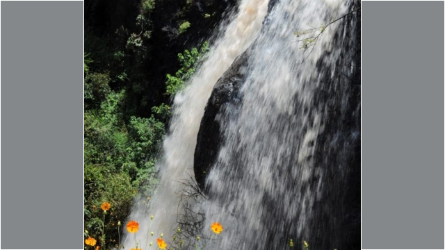 towards Mount Elgon National Park