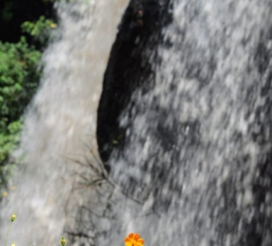 towards Mount Elgon National Park