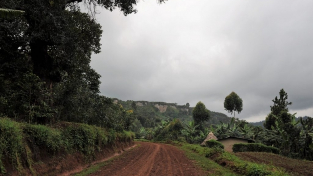 towards Mount Elgon National Park