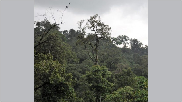 Mount Elgon National Park