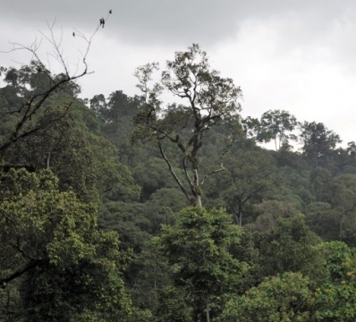 Mount Elgon National Park