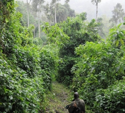 Mount Elgon National Park