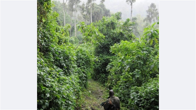 Mount Elgon National Park