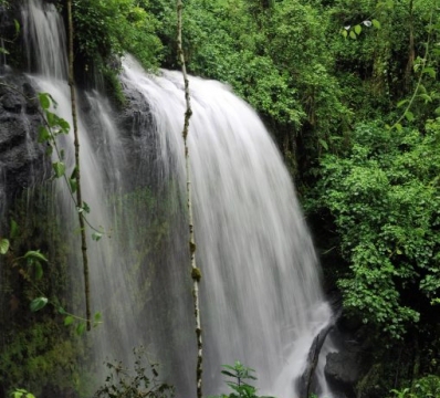 Mount Elgon National Park