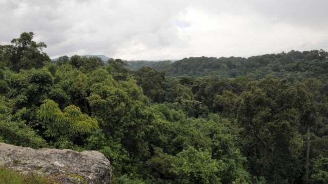Mount Elgon National Park