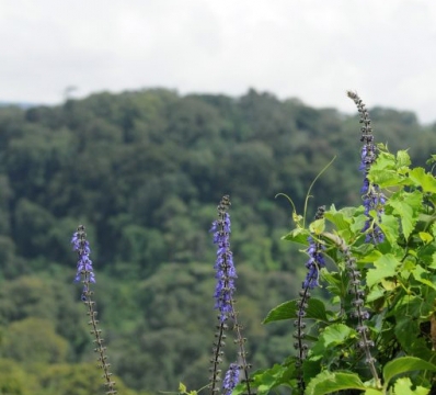 Mount Elgon National Park