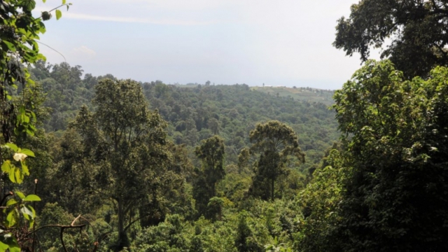 Mount Elgon National Park