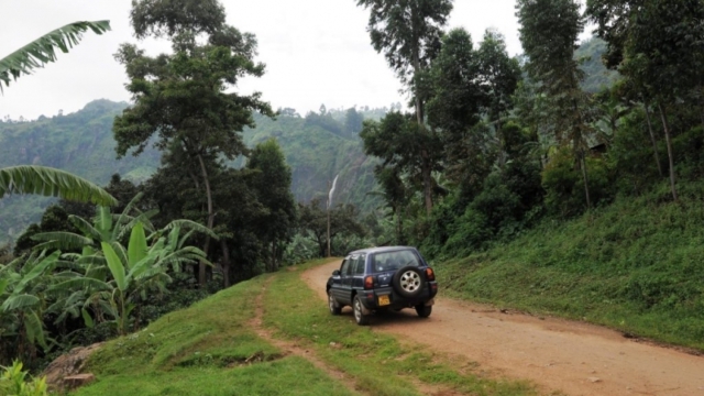 Wanale Ridge, near Mbale (UG)