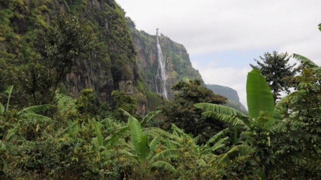 Wanale Ridge, near Mbale (UG)