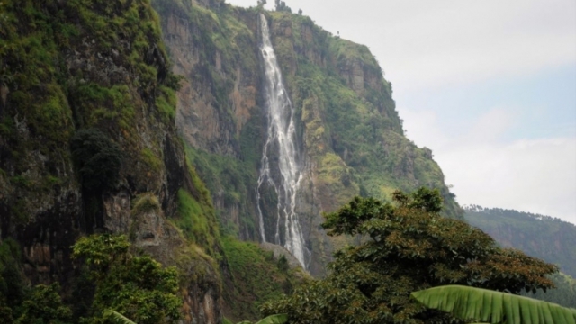 Wanale Ridge, near Mbale (UG)