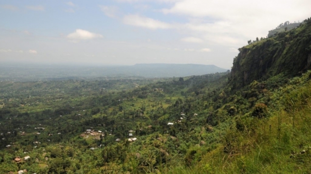 Wanale Ridge, near Mbale (UG)