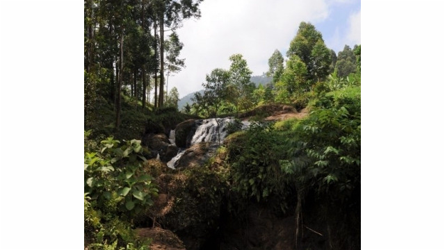 Wanale Ridge, near Mbale (UG)