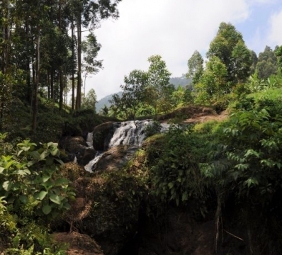 Wanale Ridge, near Mbale (UG)