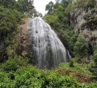 Wanale Ridge, near Mbale (UG)