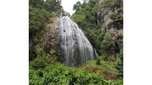 Wanale Ridge, near Mbale (UG)