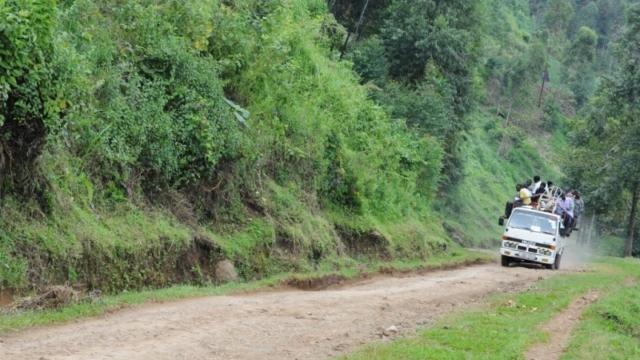 Wanale Ridge, near Mbale (UG)