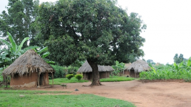 Ugandan village, near Komuge near Komuge