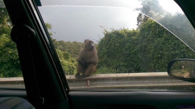 towards Murchison Falls Park IMAG8130