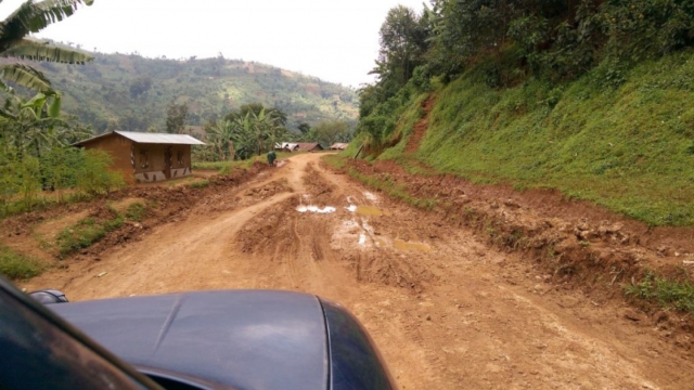 Wanale ridge, near Mbale (UG)