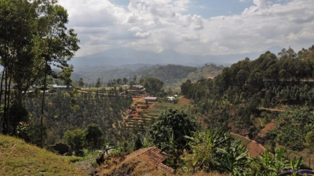volcanos, north Rwanda