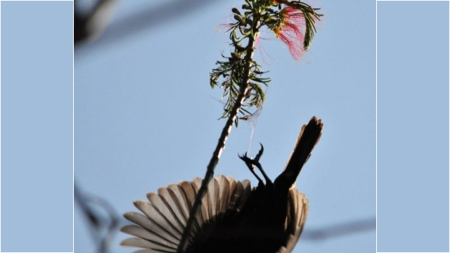 Redrocks Camp, Nyakinama near Musanze aka Ruhengeri, Rwanda