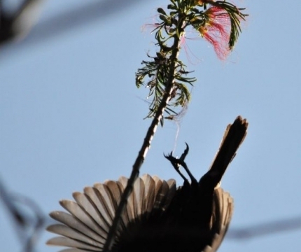 Redrocks Camp, Nyakinama near Musanze aka Ruhengeri, Rwanda