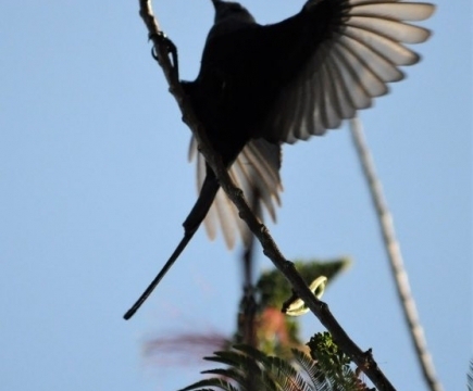 Redrocks Camp, Nyakinama near Musanze aka Ruhengeri, Rwanda