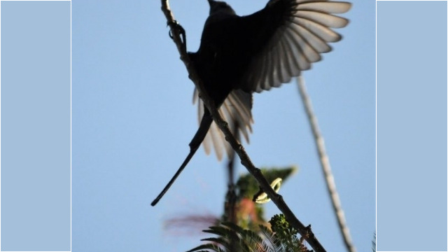 Redrocks Camp, Nyakinama near Musanze aka Ruhengeri, Rwanda