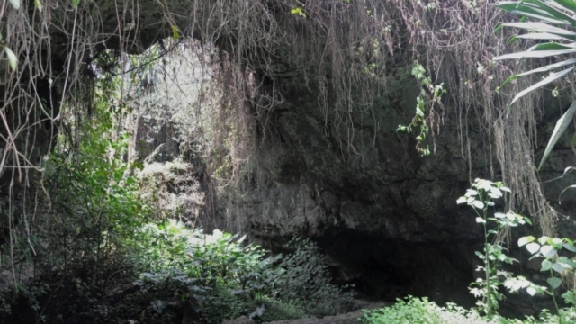 Musanze cave