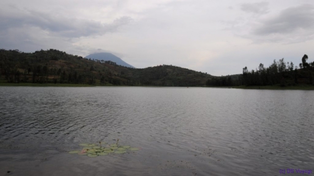 Muhavura volcano, from Lake Ruhondo