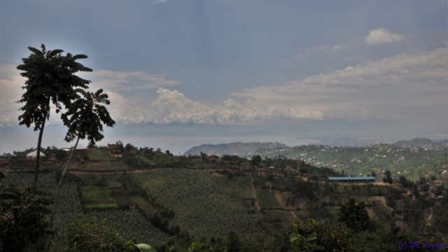 Lake Kivu