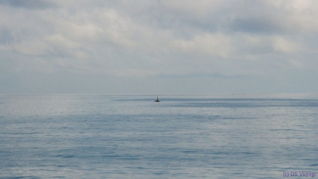 towards Zanzibar