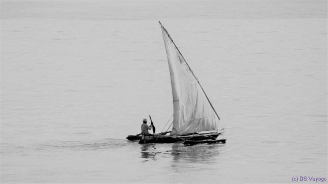 towards Zanzibar