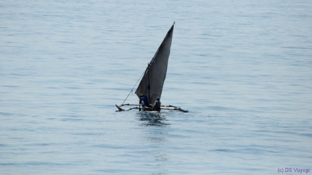 towards Zanzibar