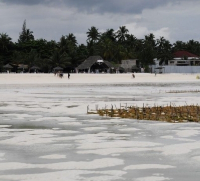 Zanzibar