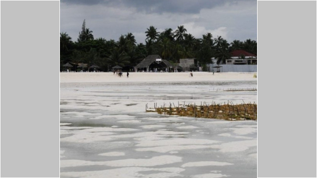 Zanzibar