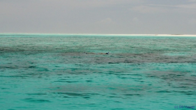 Zanzibar